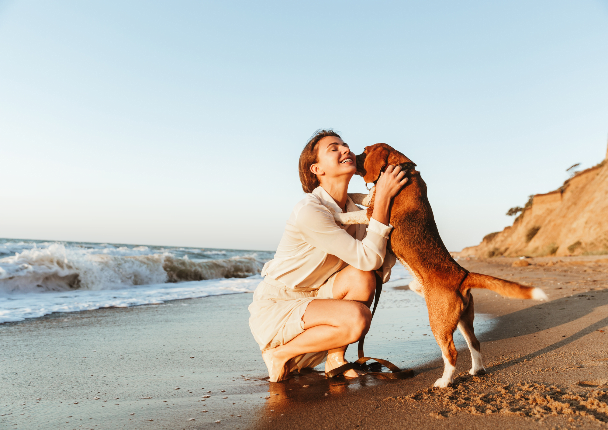 Your dog can read your mind: scientific facts