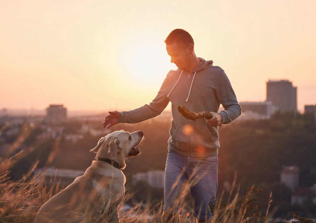 Increase your physical health by exercising with your dog 