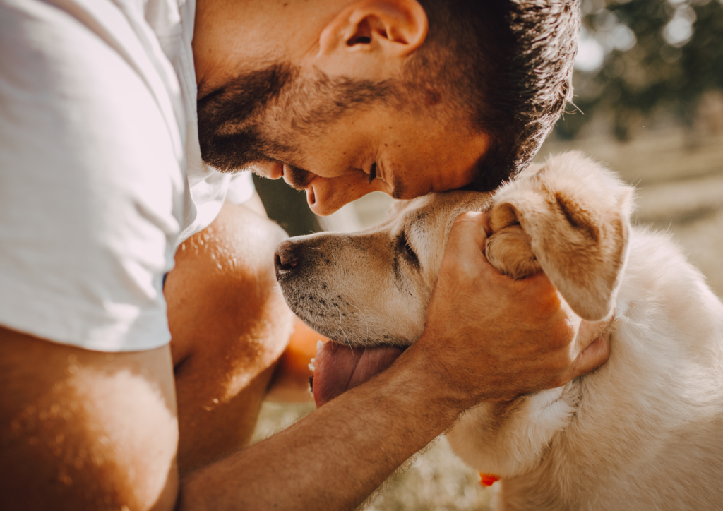 Having a dog can improve your mental health 