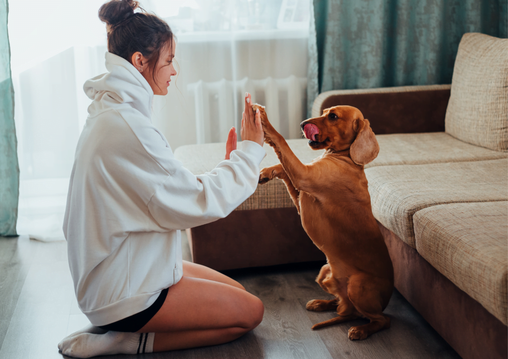 Training is a crucial aspect of raising a happy puppy