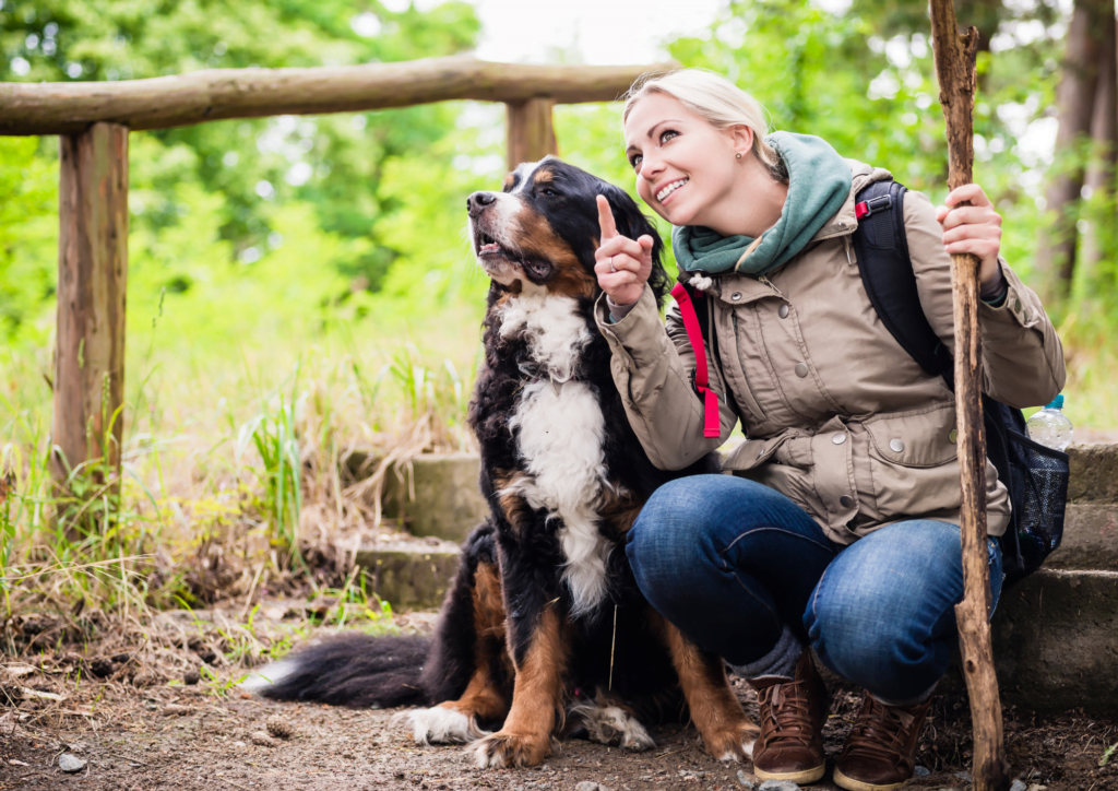 Be ready for anything with these First Aid Tips for your dog 