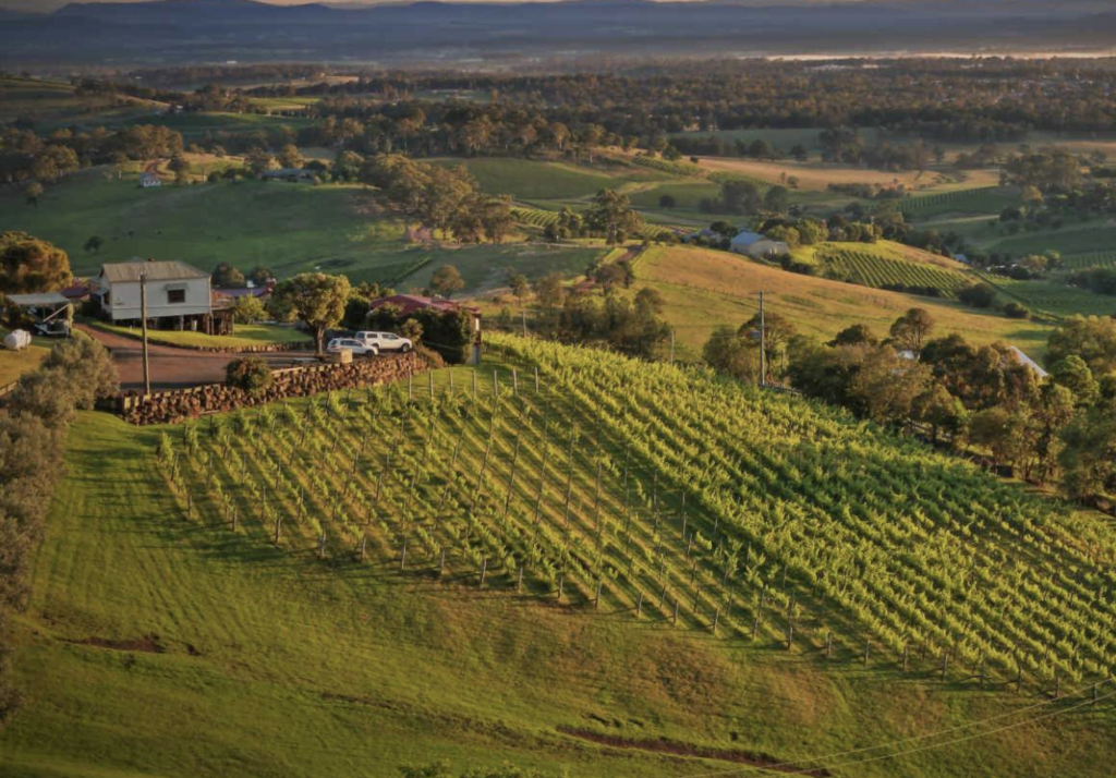 The Hunter Valley 