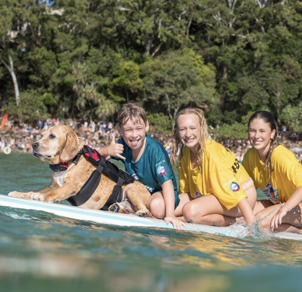 Teach your dog how to surf