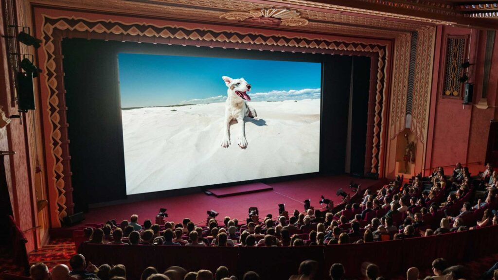 Top Dog Film Festival Screening- Sydney 2023