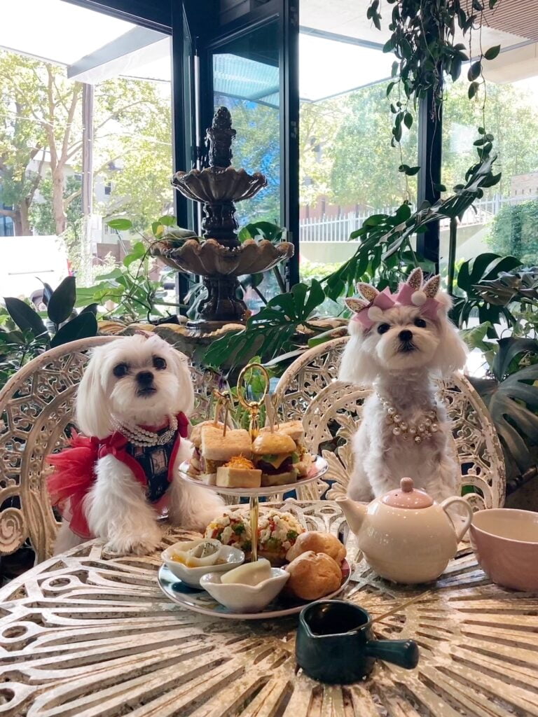 I love a high tea with the girls 