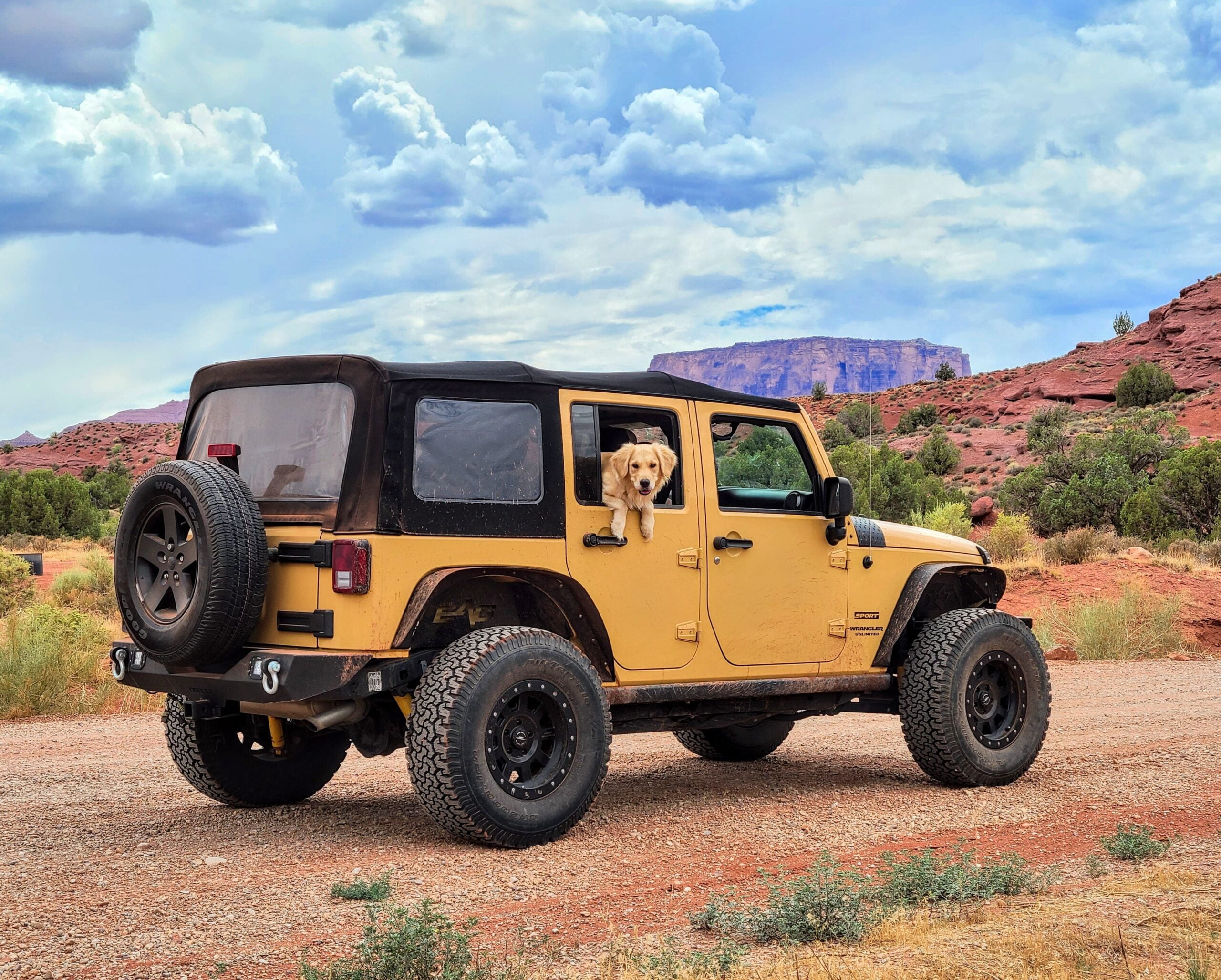 Road tripping with your pooch