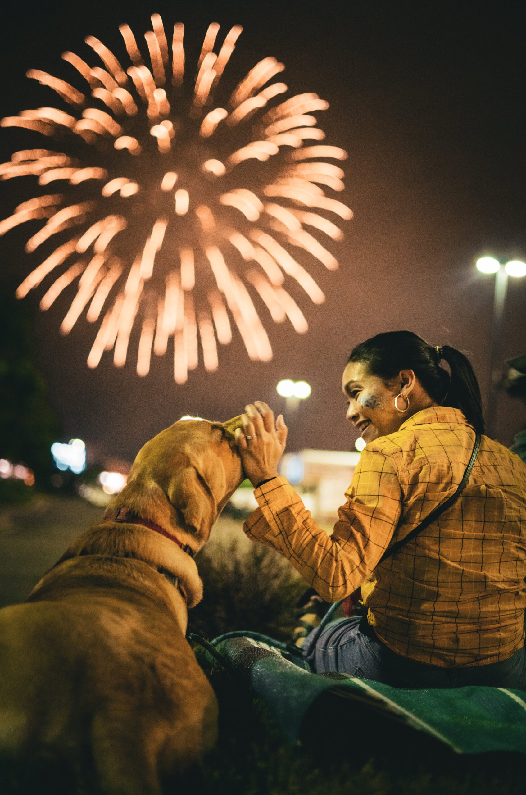 How to protect your dog from firework noise